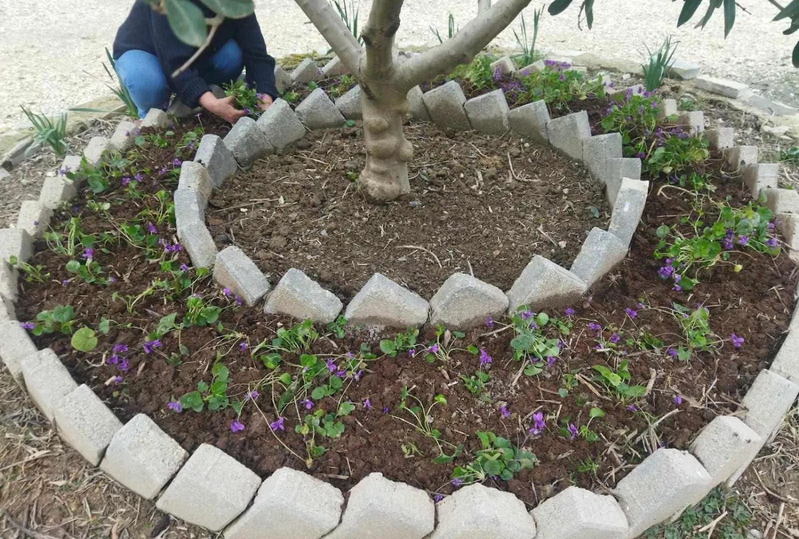 Village House In Polican בית אירוח